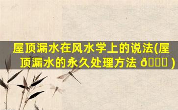 屋顶漏水在风水学上的说法(屋顶漏水的永久处理方法 🐛 )